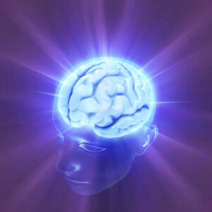 The Blissful Brain - Mindfulness and Meditation workshop