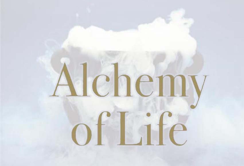 the alchemy of life workshop